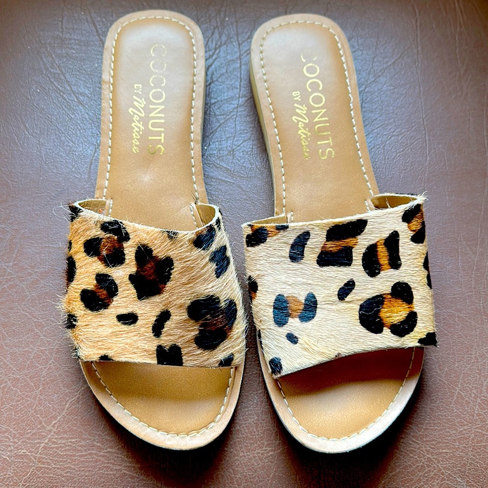 Leopard slides
